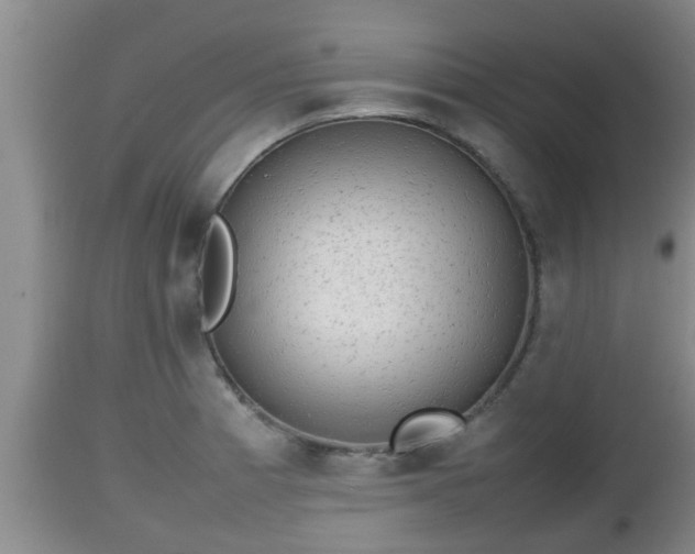X0000112811185200908281500