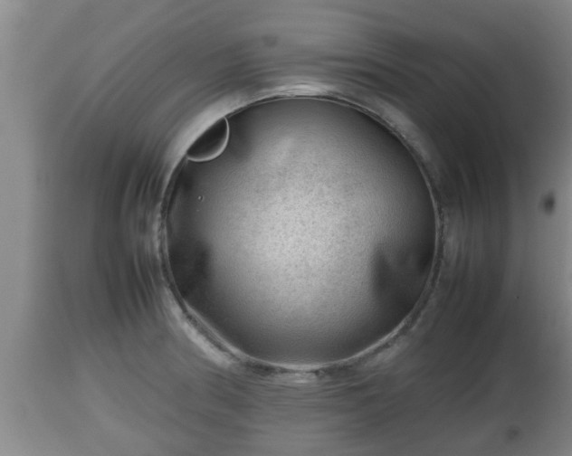 X0000112811186200908281500