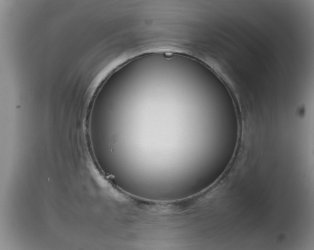 X0000112811189200908281500