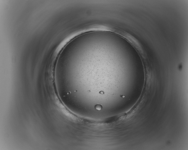 X0000112811192200908281500