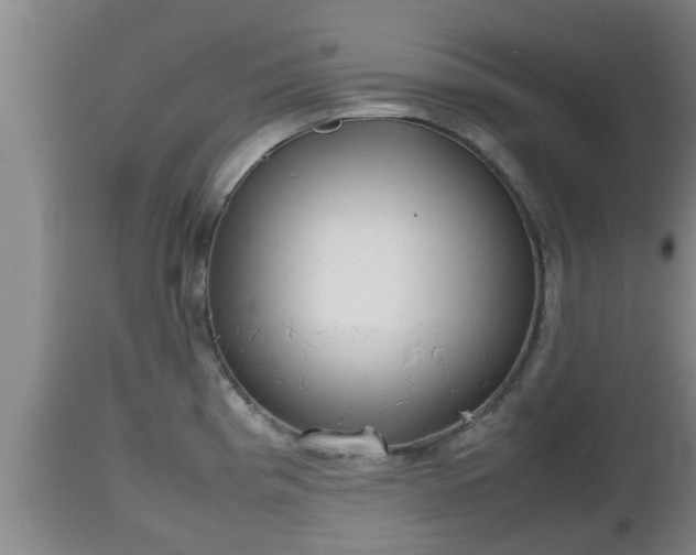 X0000112811193200908281500