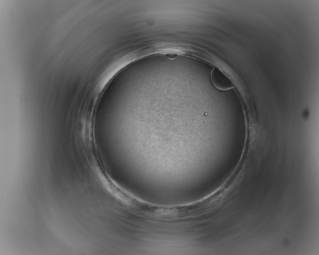 X0000112811194200908281500