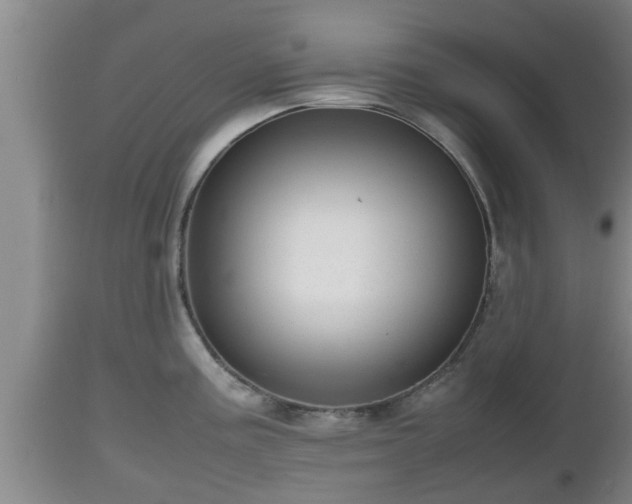 X0000112811195200908281500