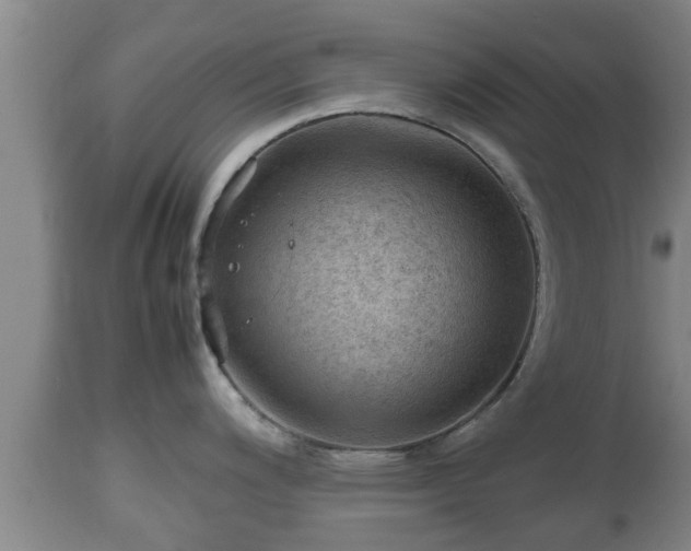 X0000112811200200908281500