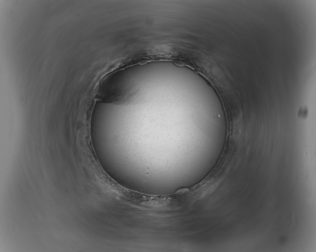 X0000112811201200908281459