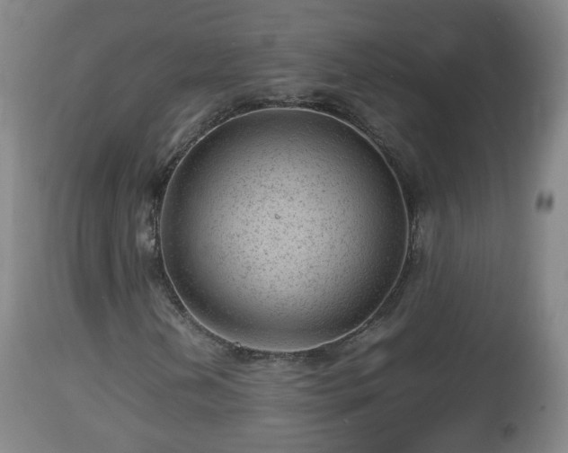 X0000112811202200908281459