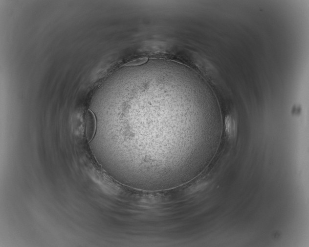 X0000112811203200908281459