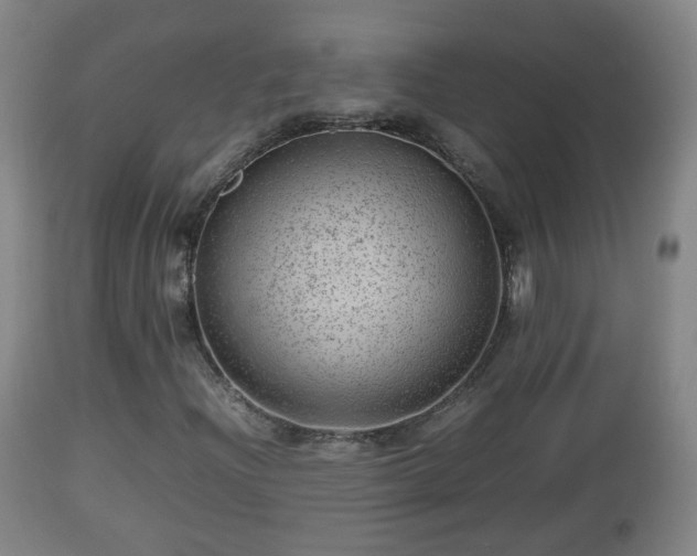 X0000112811204200908281459