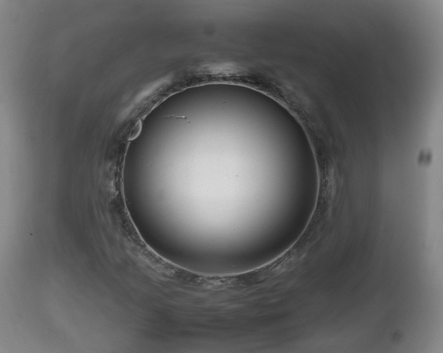 X0000112811205200908281459