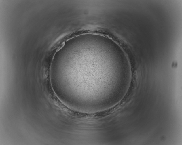 X0000112811206200908281459