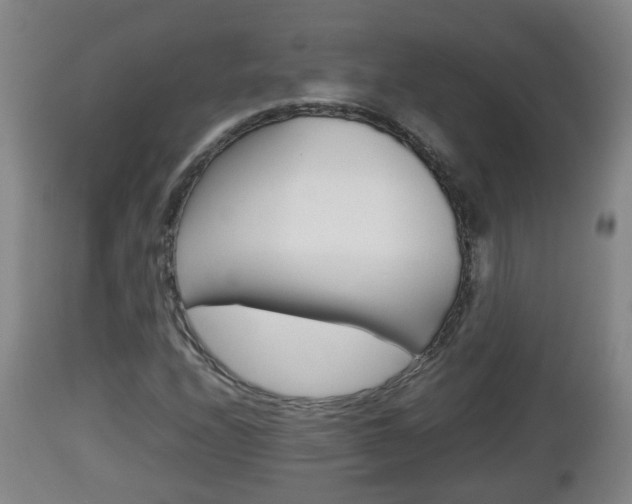 X0000112811208200908281459