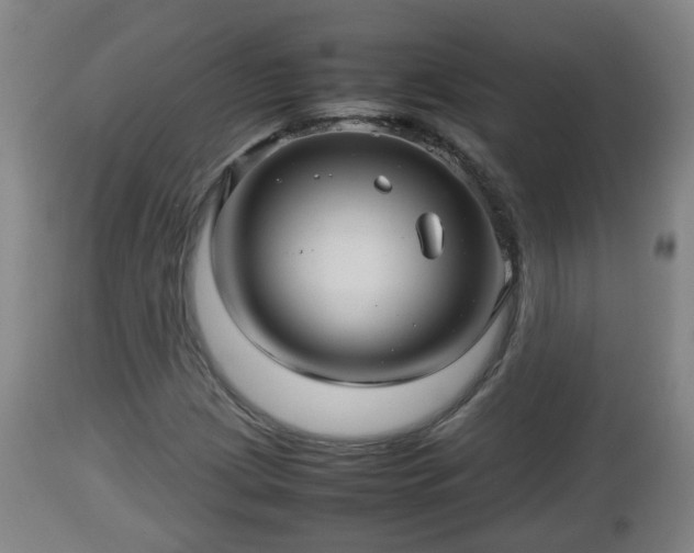 X0000112811209200908281459
