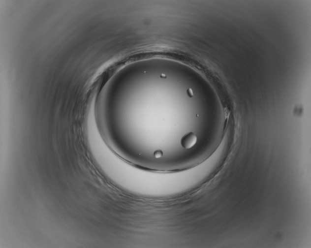 X0000112811210200908281459