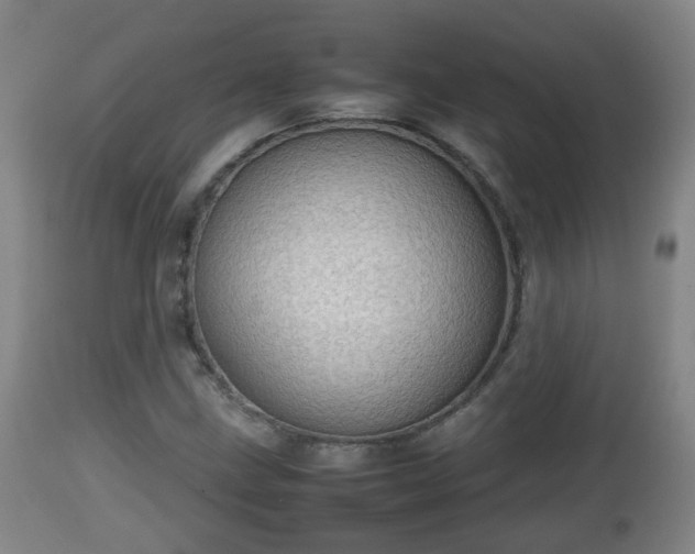 X0000112811211200908281459