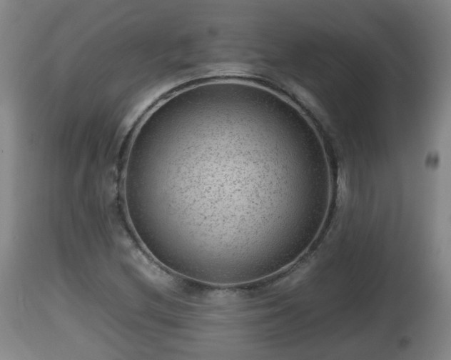 X0000112811212200908281459