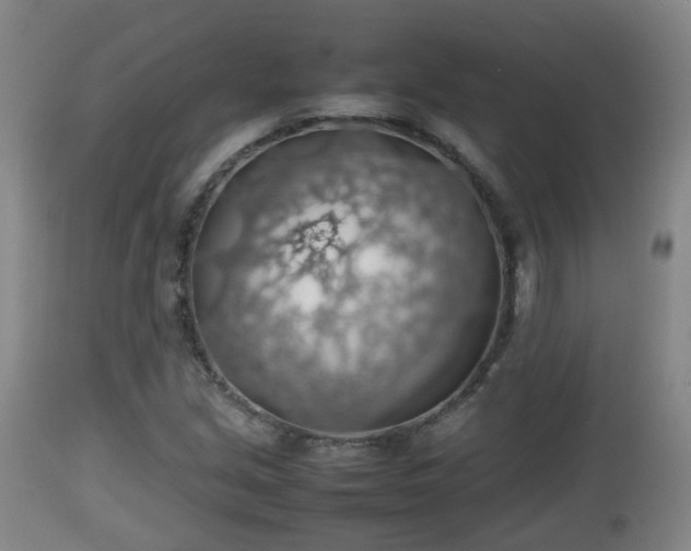 X0000112811213200908281459