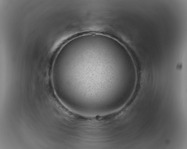 X0000112811214200908281459