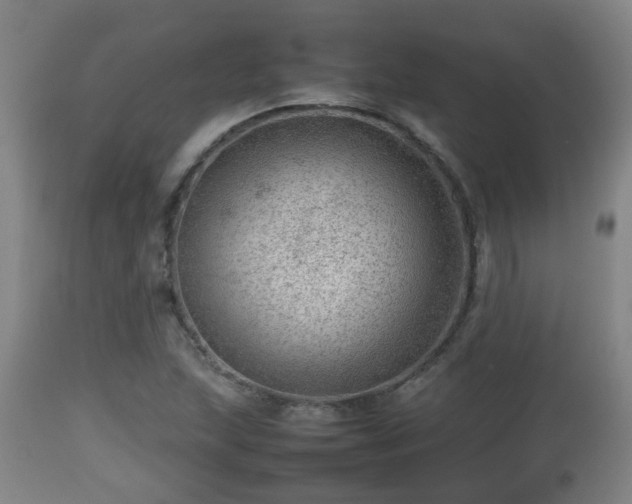 X0000112811215200908281459