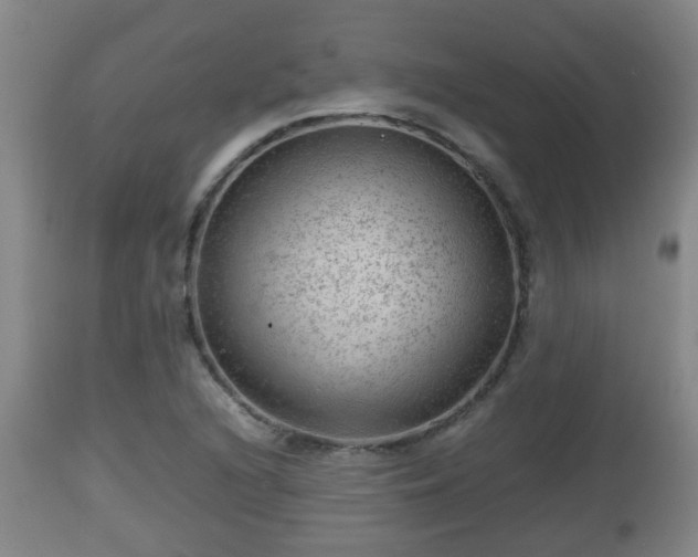X0000112811216200908281459