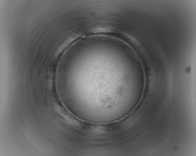 X0000112811217200908281459