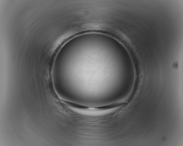 X0000112811218200908281459