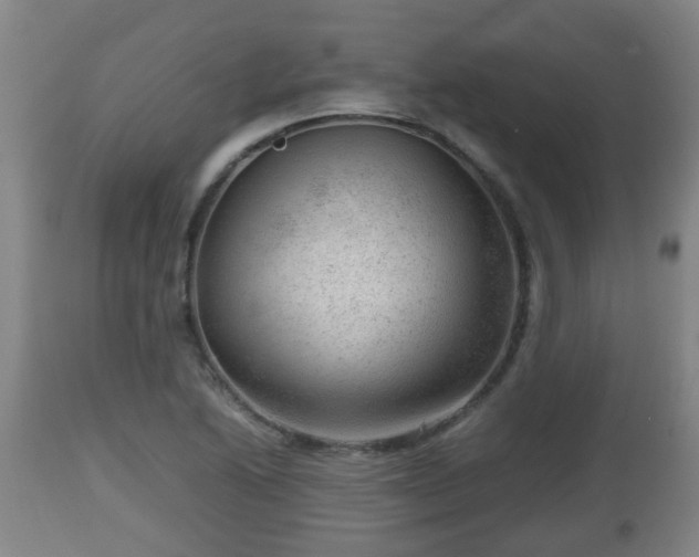X0000112811222200908281459