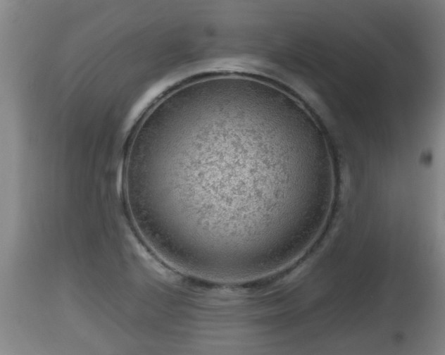 X0000112811224200908281459