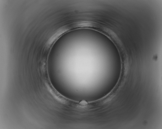 X0000112811225200908281459