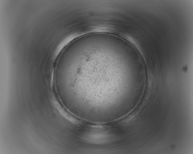 X0000112811227200908281459