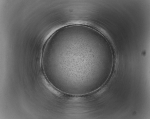X0000112811228200908281459
