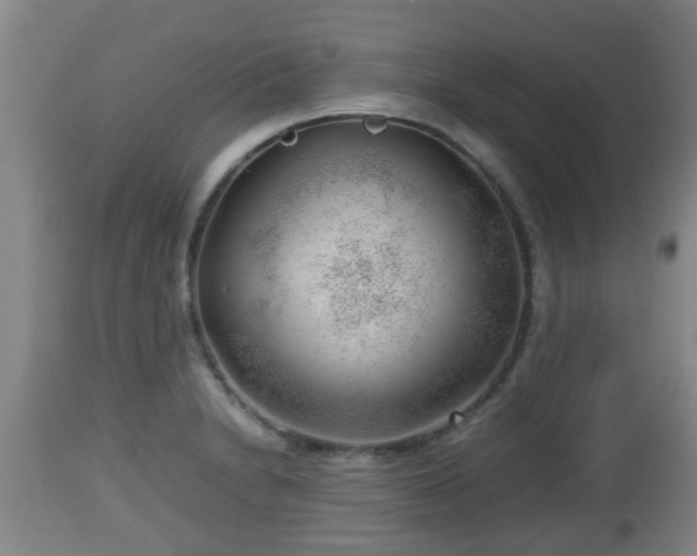 X0000112811230200908281459