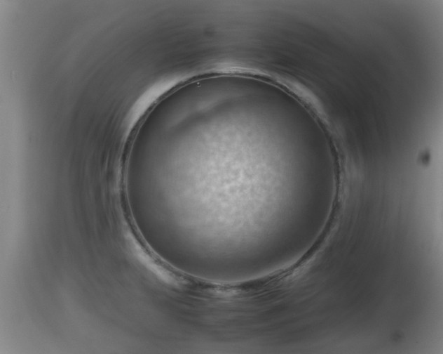 X0000112811231200908281459