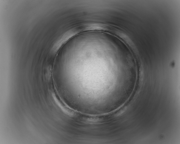 X0000112811233200908281459