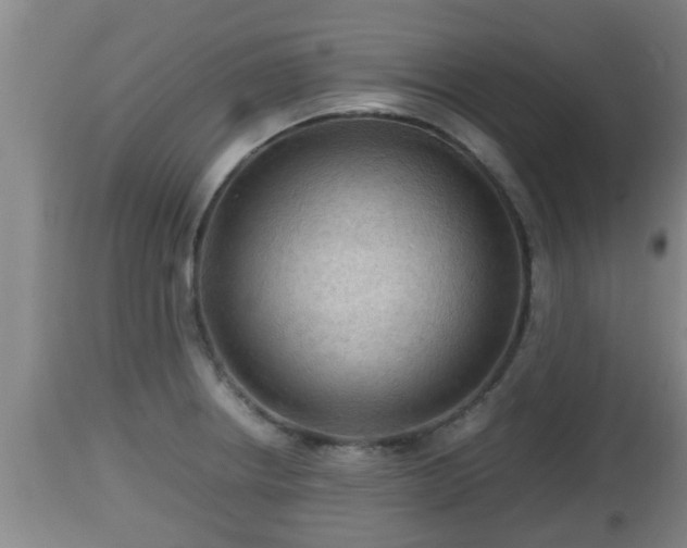 X0000112811234200908281459