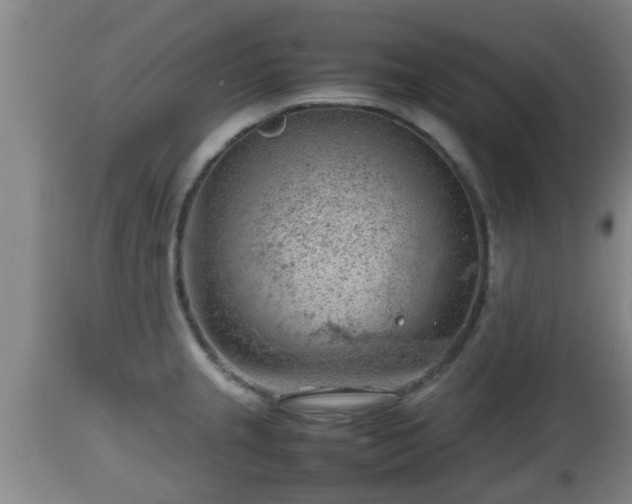 X0000112811237200908281459