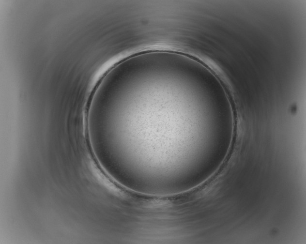 X0000112811238200908281500