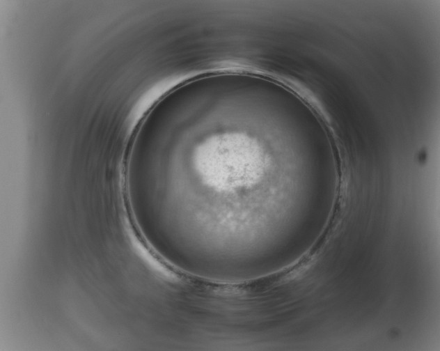 X0000112811239200908281500