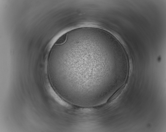 X0000112811246200908281500