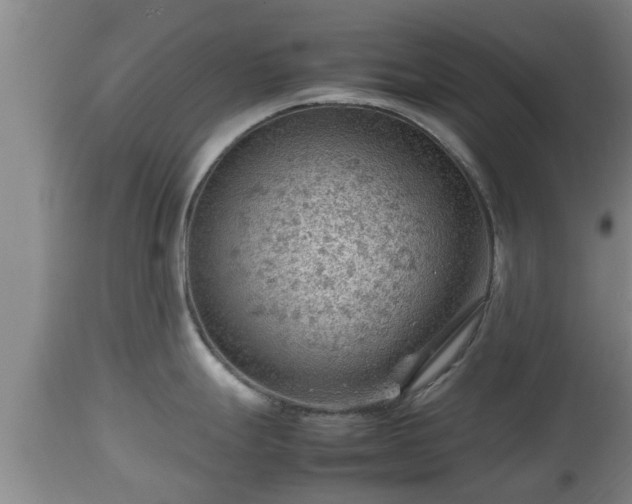 X0000112811247200908281500