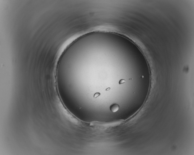 X0000112811248200908281500
