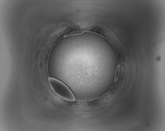 X0000112811249200908281459