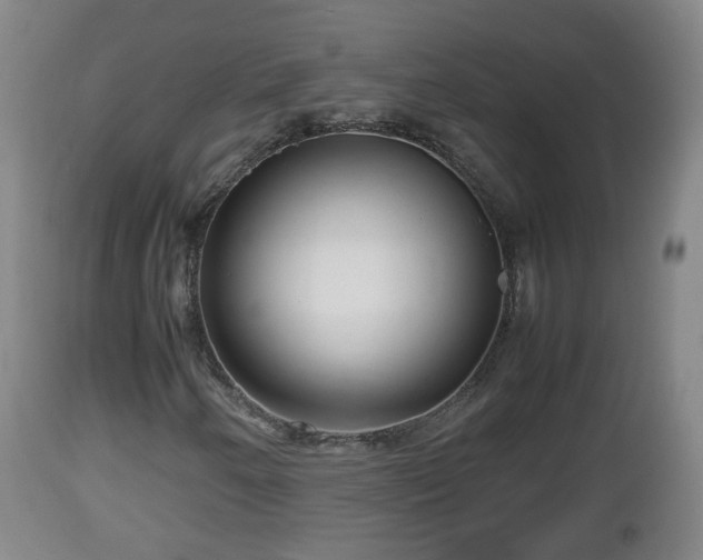 X0000112811250200908281459