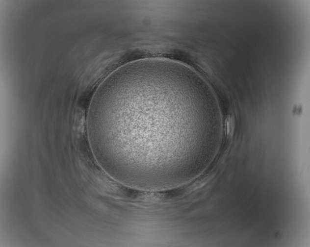 X0000112811251200908281459