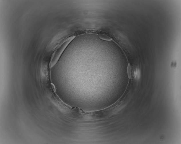 X0000112811252200908281459