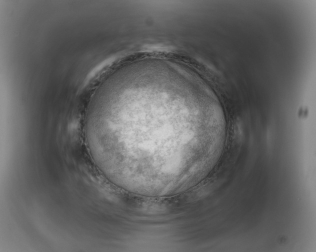 X0000112811254200908281459