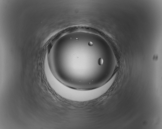 X0000112811255200908281459