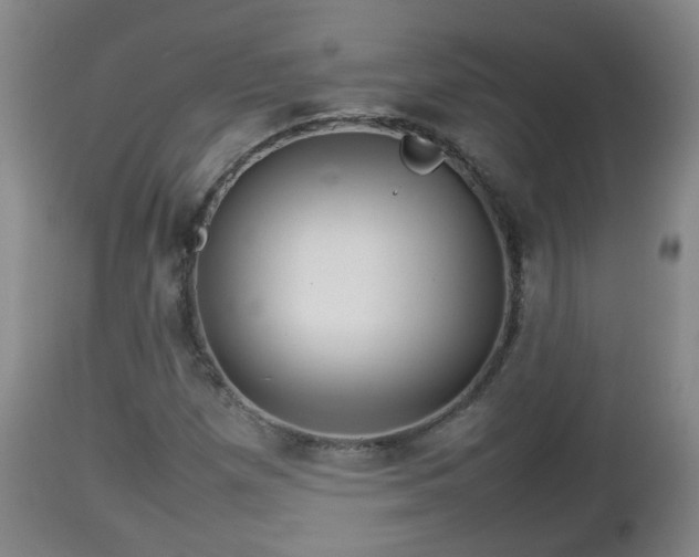 X0000112811257200908281459