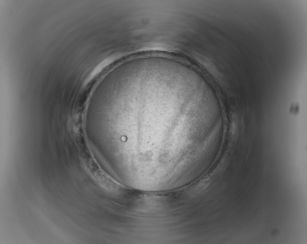 X0000112811258200908281459