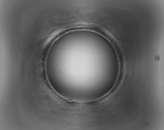X0000112811259200908281459