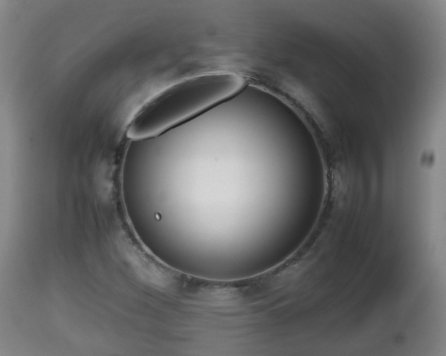 X0000112811260200908281459